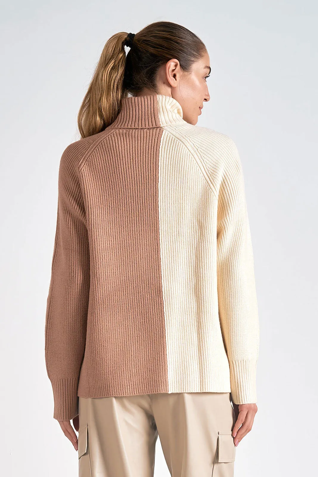 Colorblock Turtle Neck Sweater
