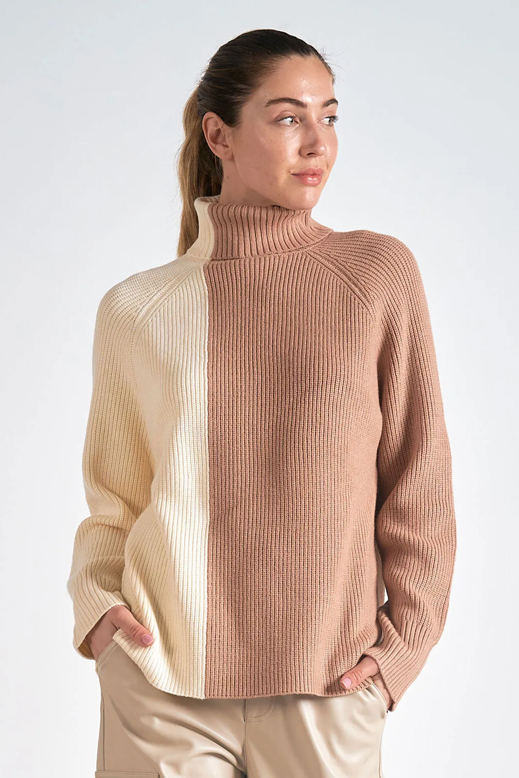 Colorblock Turtle Neck Sweater