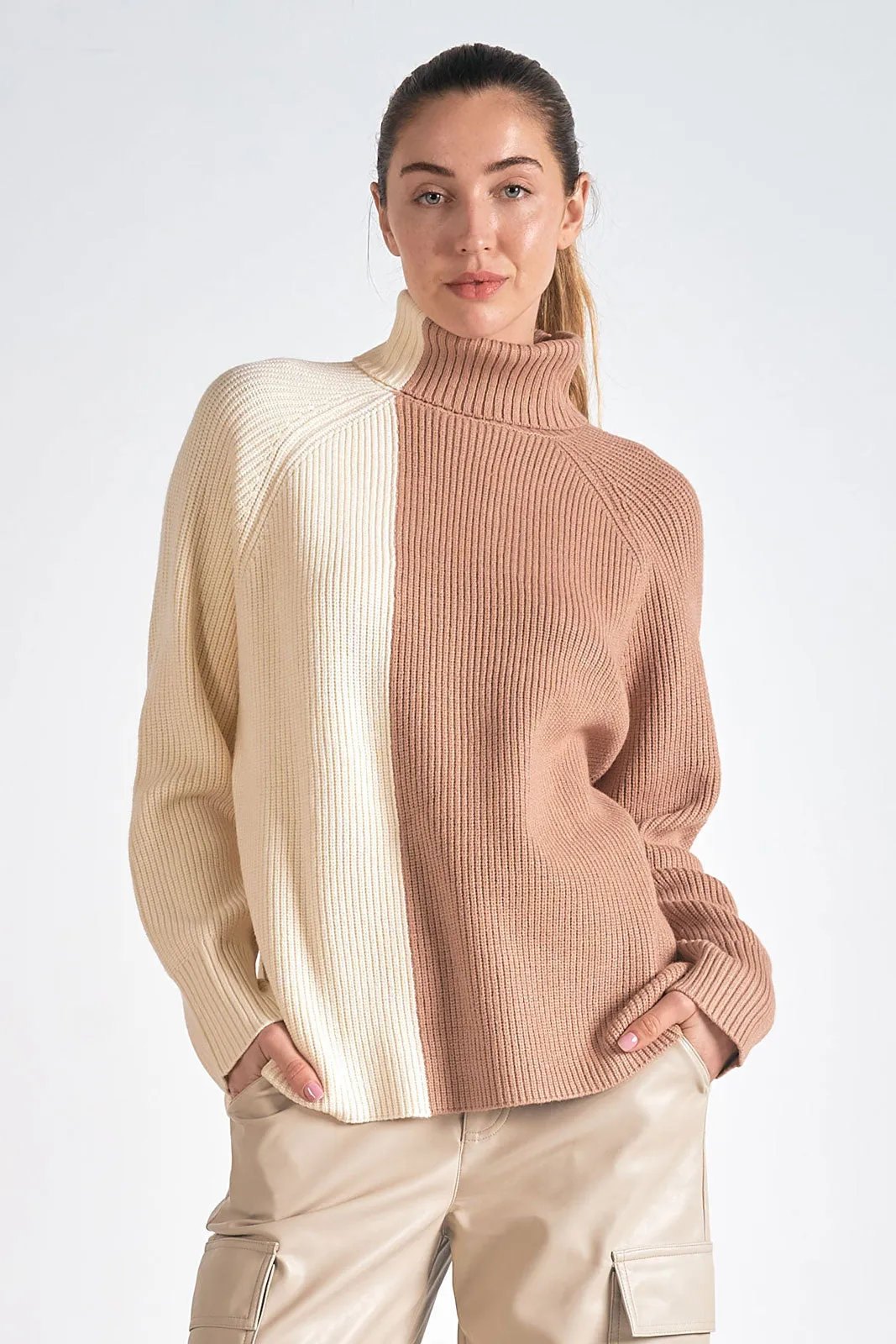 Colorblock Turtle Neck Sweater