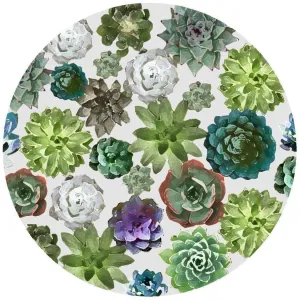 Decorative Silicone Trivet | Succulents