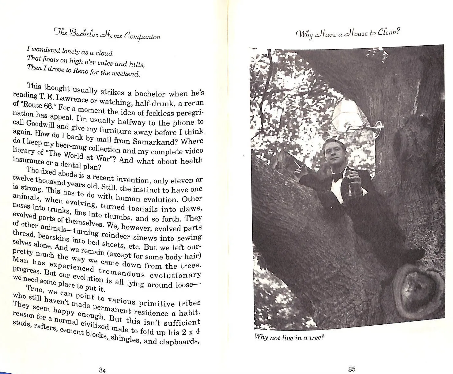 "The Bachelor Home Companion; A Practical Guide to Keeping House Like A Pig" 1993 O'ROURKE P.J.